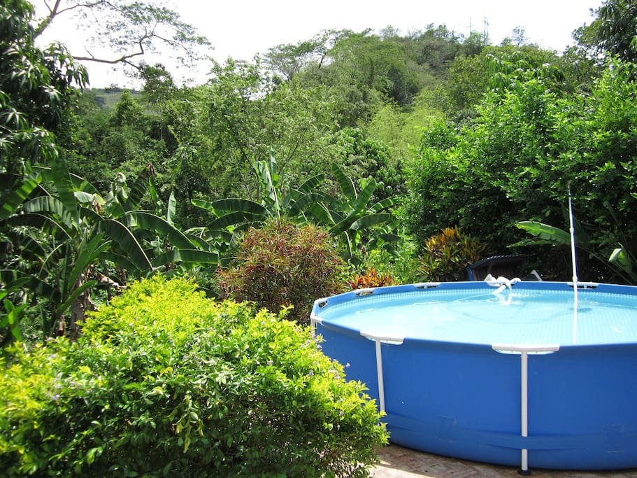 Piscina de cabaña en Viotá