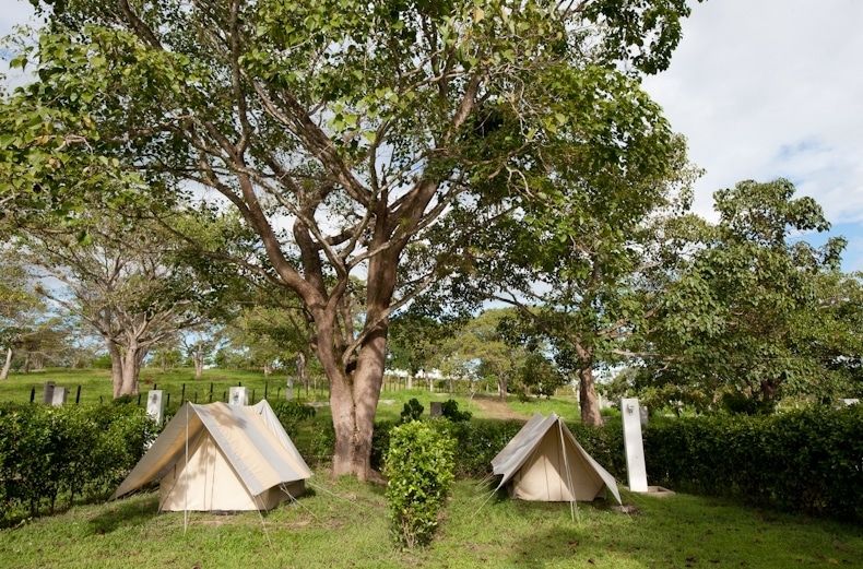 Jardín Camping Hacienda Napoles