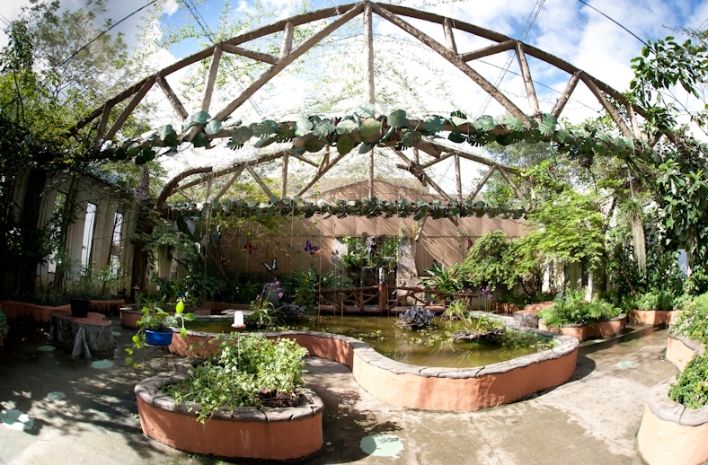 Mariposario Hacienda Nápoles